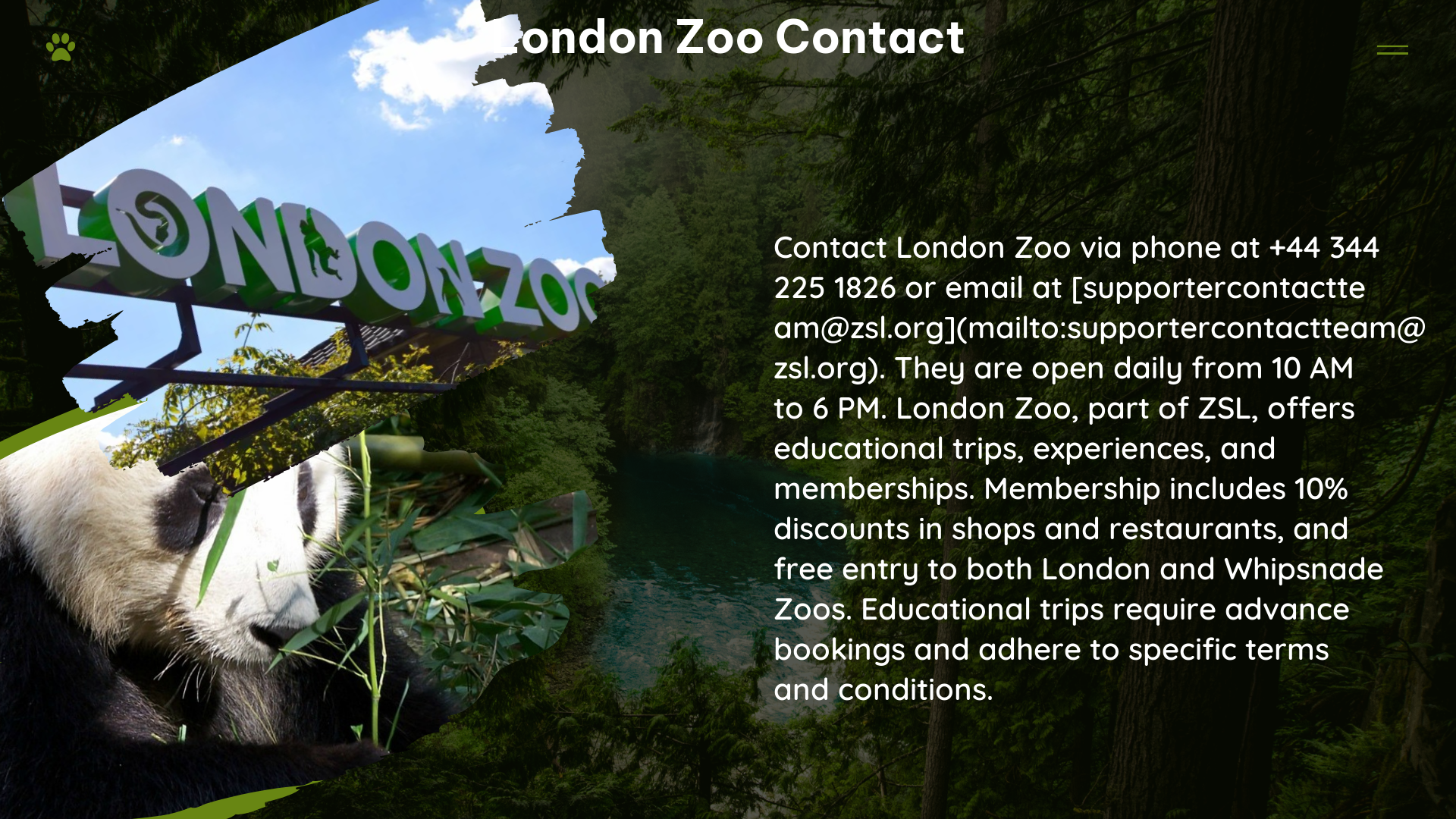 london zoo contact