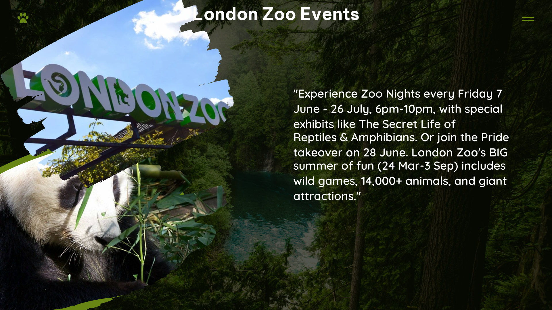 london zoo events