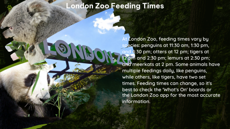 london zoo feeding times