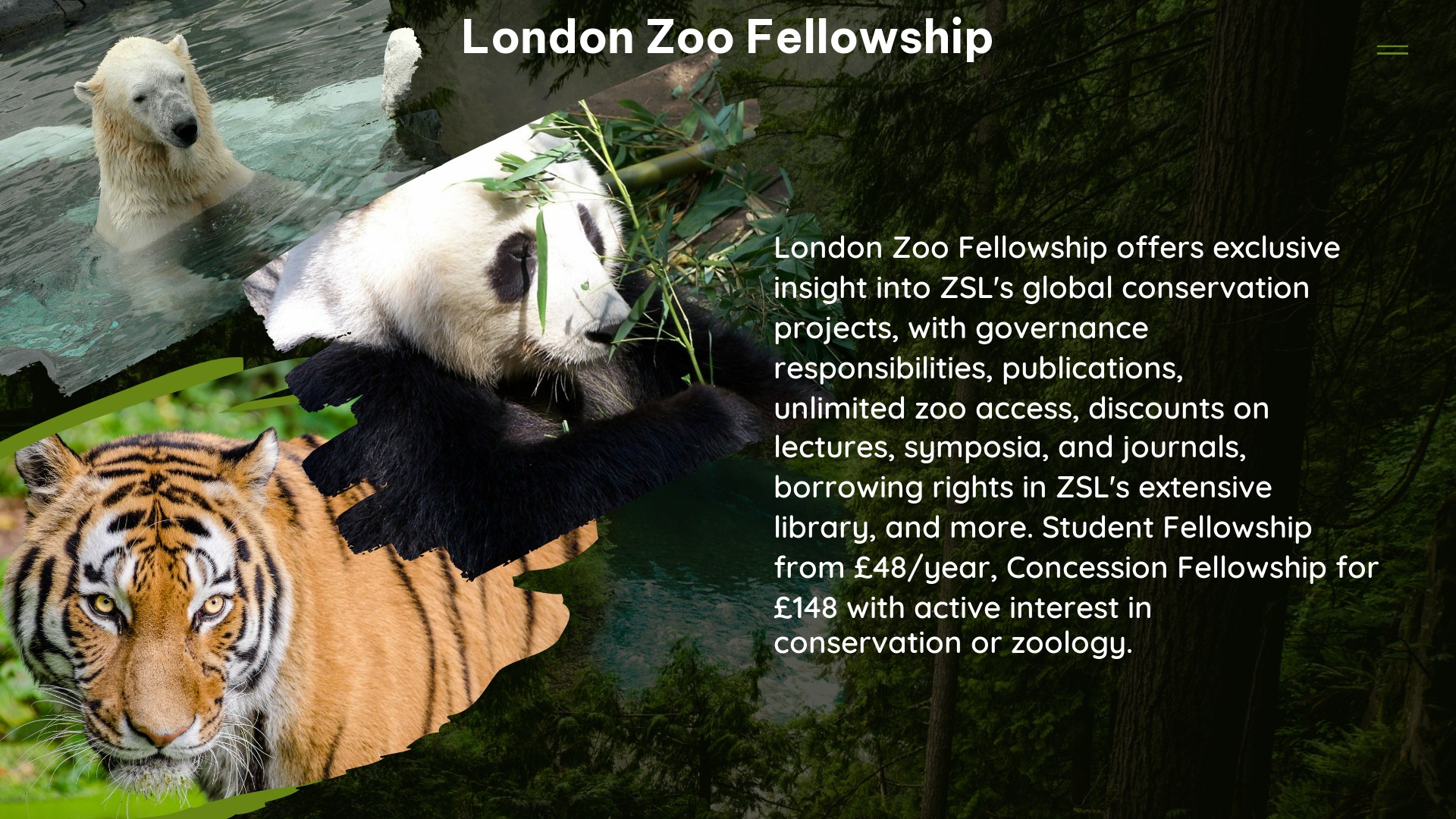 london zoo fellowship