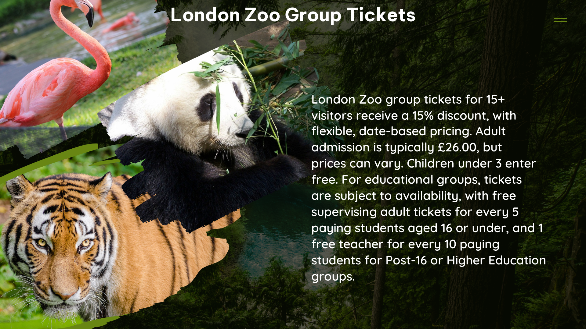 london zoo group tickets