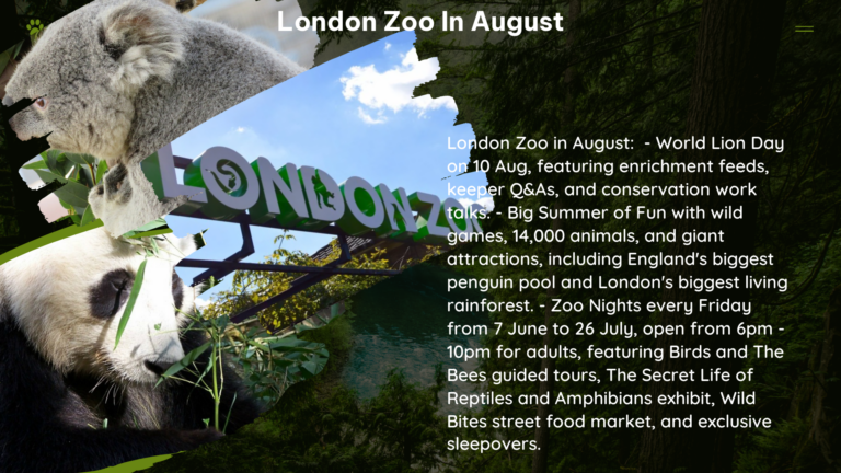 london zoo in August