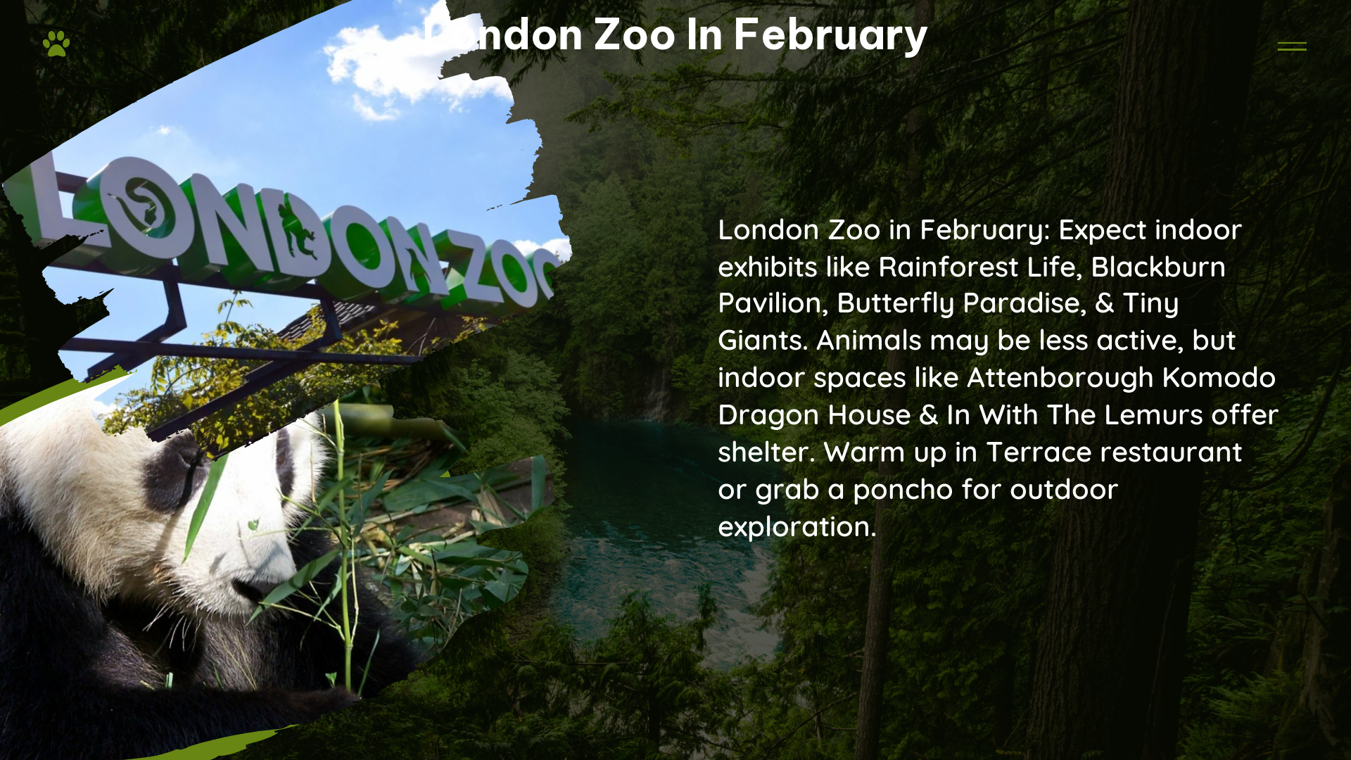 london zoo in February