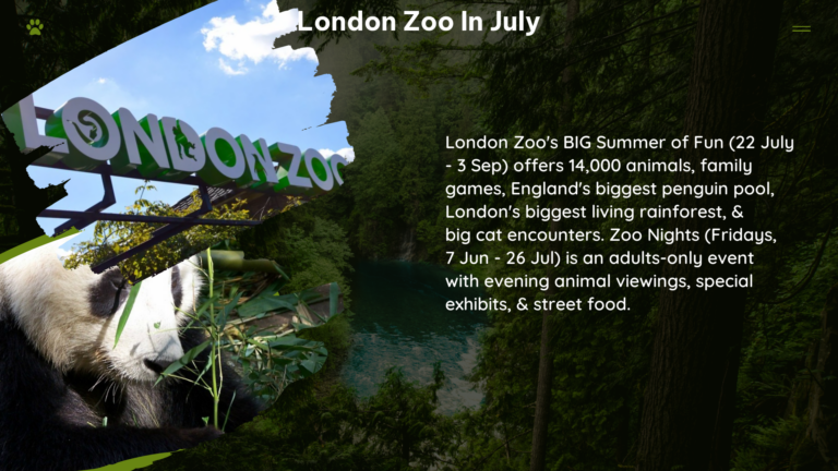 london zoo in July
