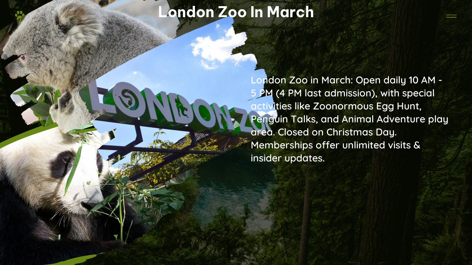 london zoo in March