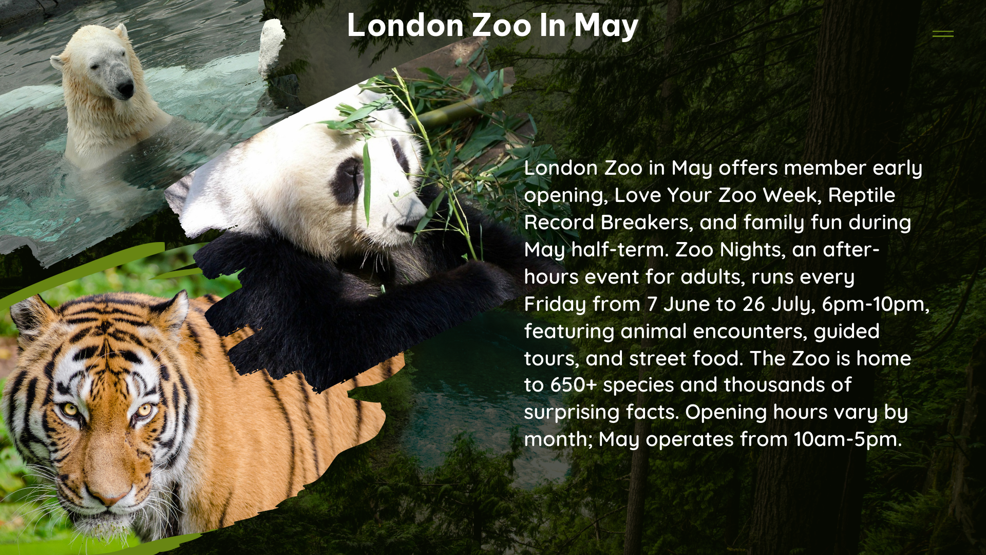 london zoo in May