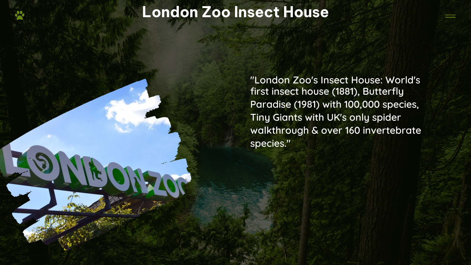 london zoo insect house