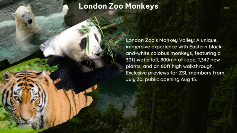 london zoo monkeys