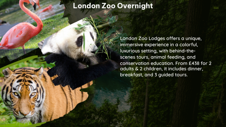 london zoo overnight