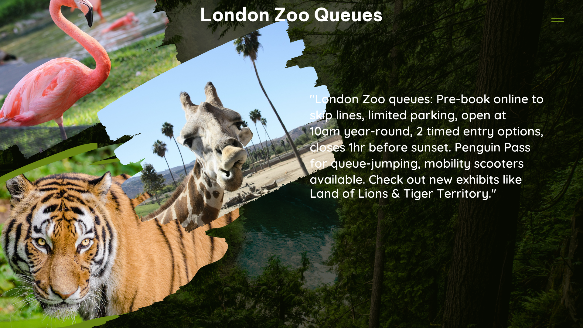 london zoo queues