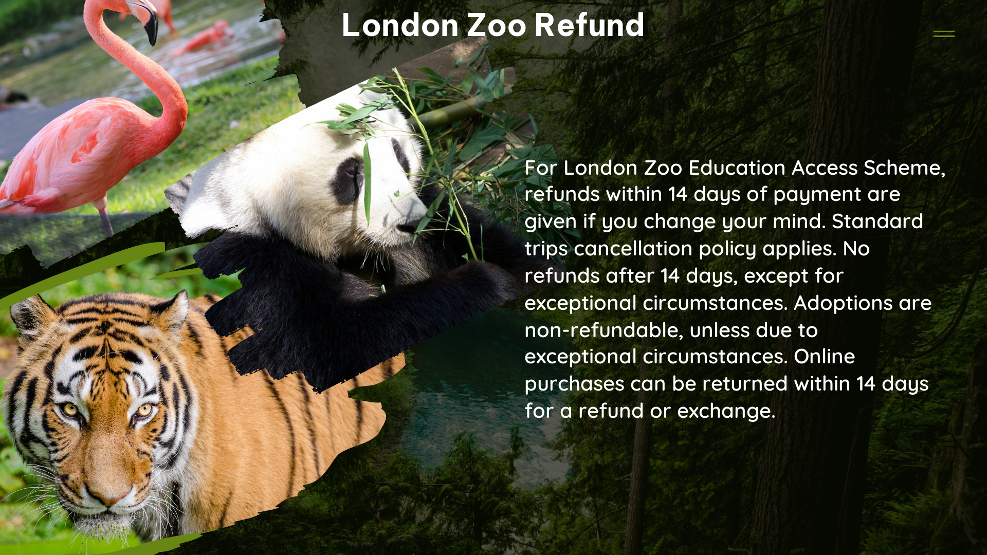 london zoo refund