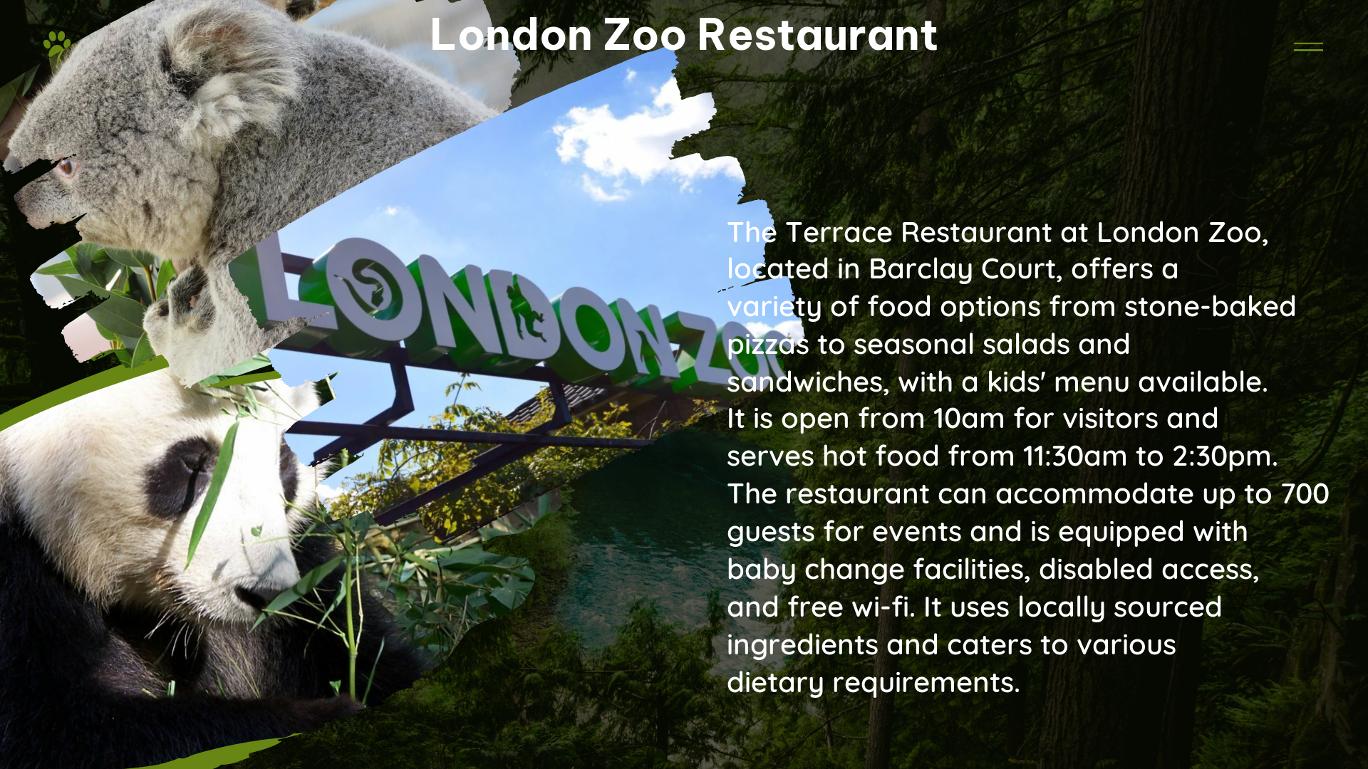 london zoo restaurant