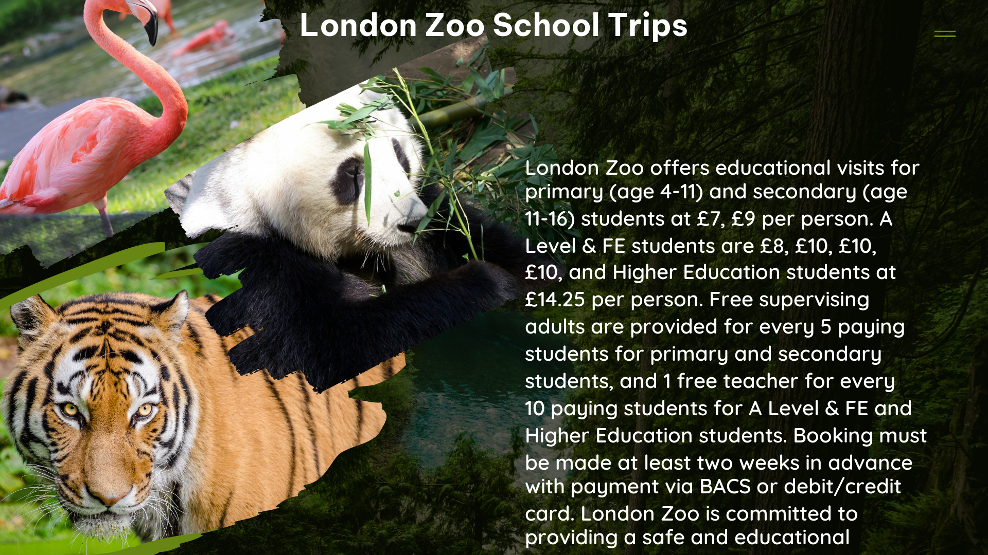 london zoo school trips