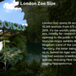 london zoo size