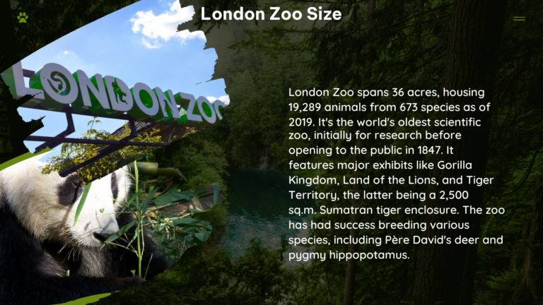 london zoo size