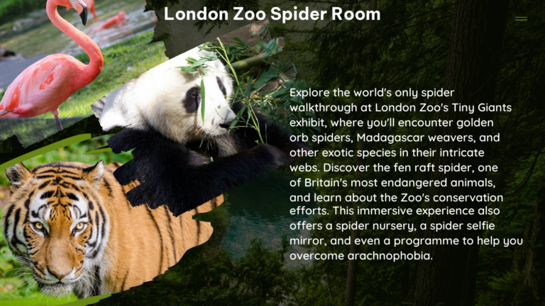 london zoo spider room