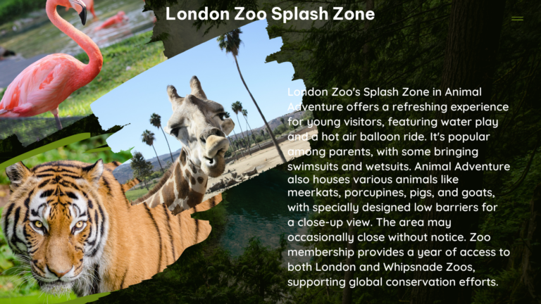 london zoo splash zone