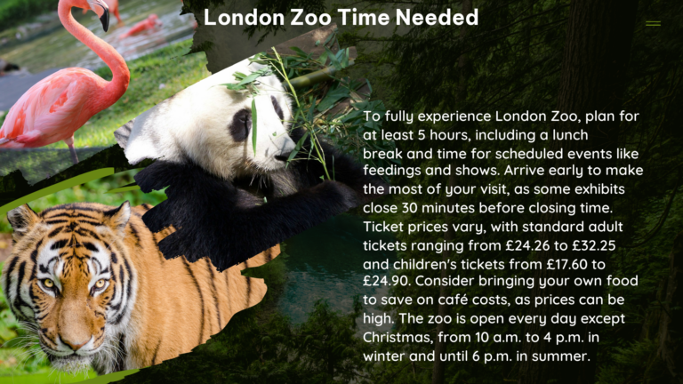 london zoo time needed