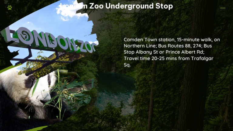 london zoo underground stop