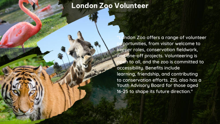 london zoo volunteer