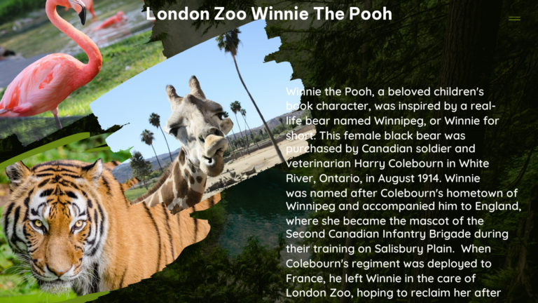 london zoo winnie the pooh