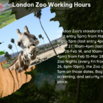 london zoo working hours