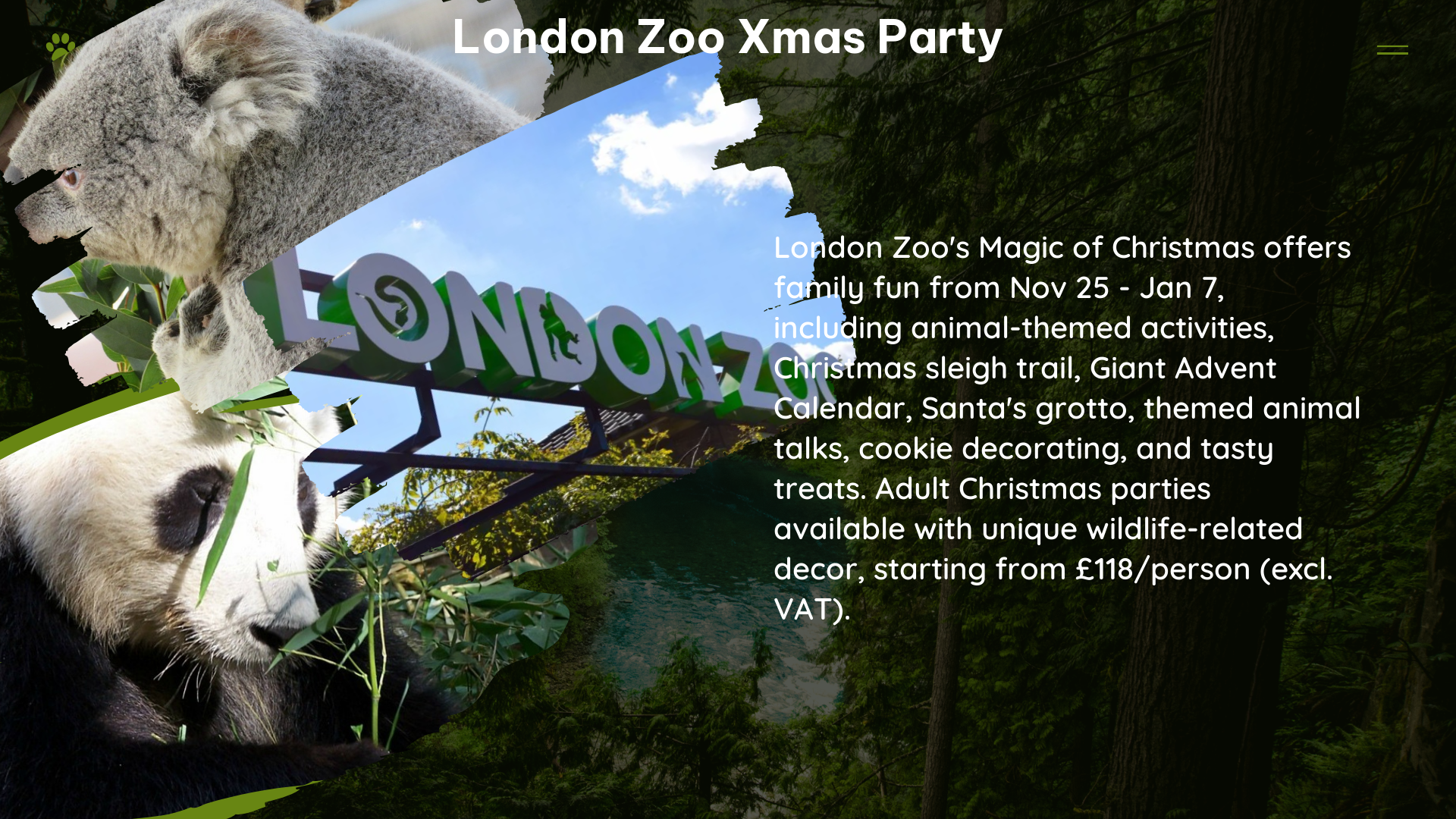 london zoo xmas party