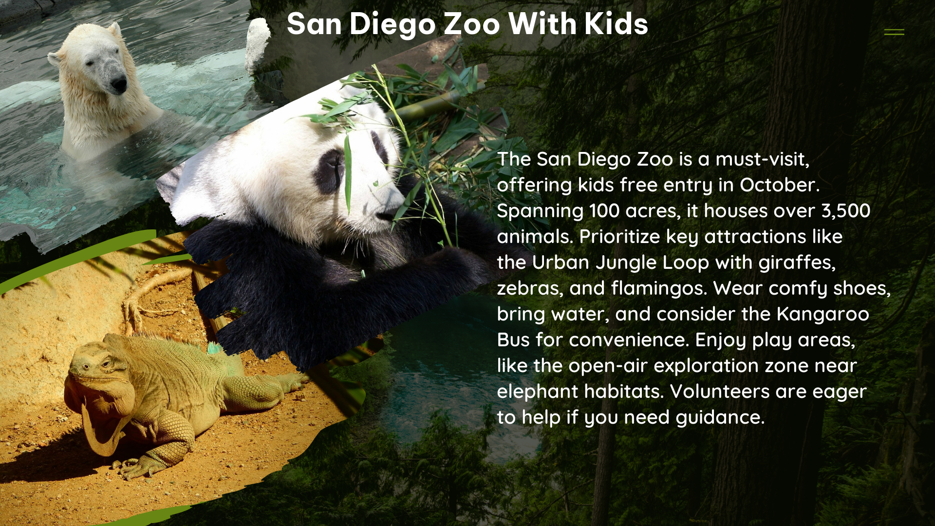 san diego zoo With kids