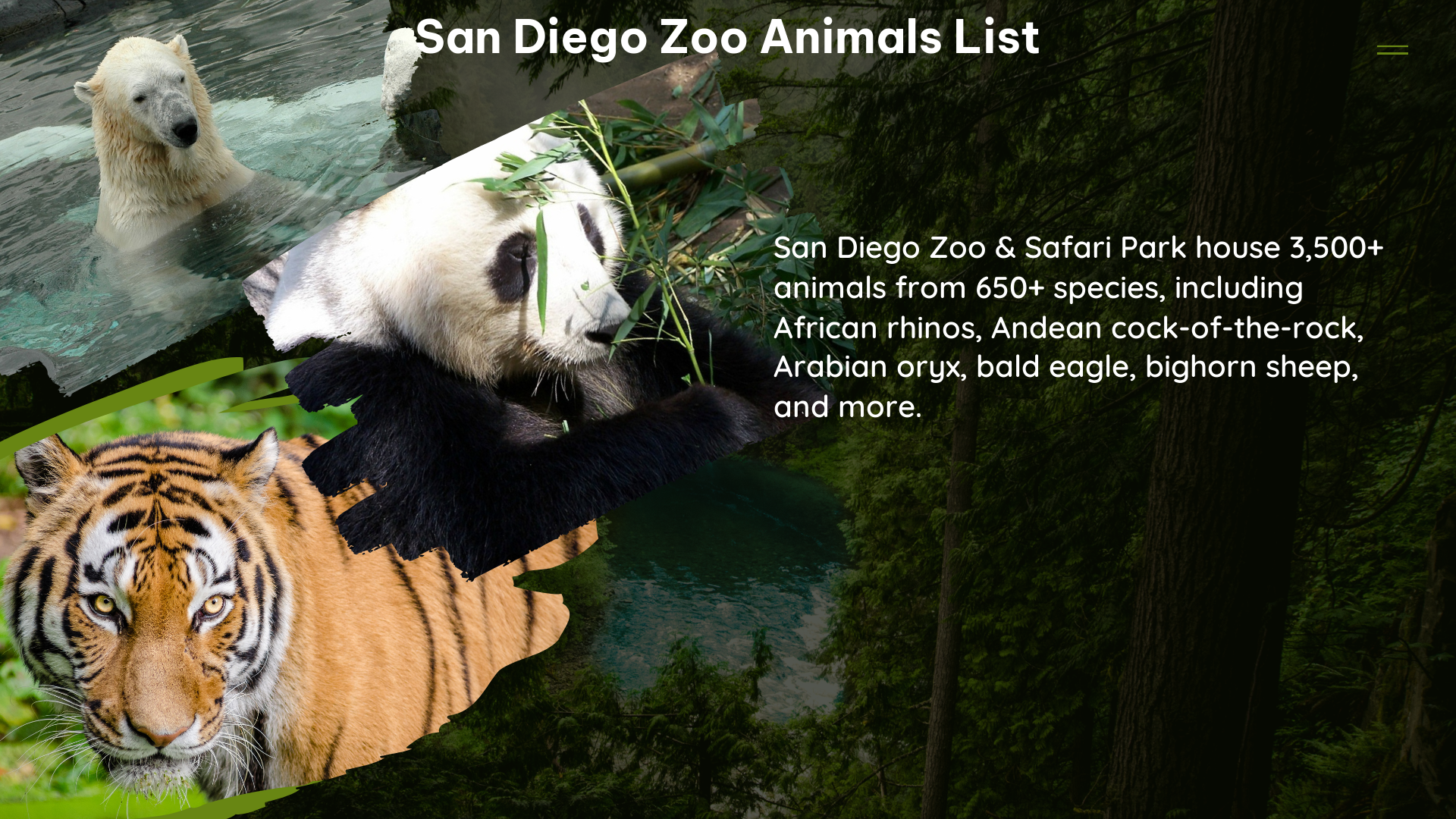 san diego zoo animals list