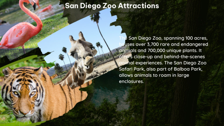 san diego zoo attractions