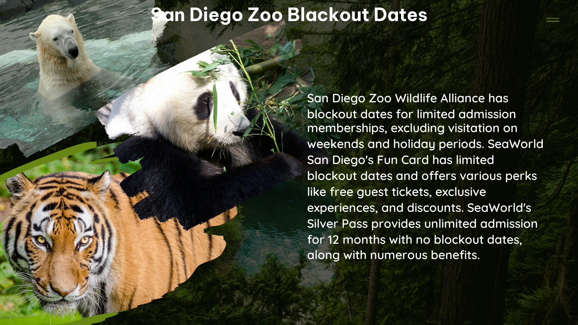 san diego zoo blackout dates