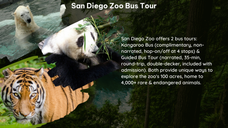 san diego zoo bus tour