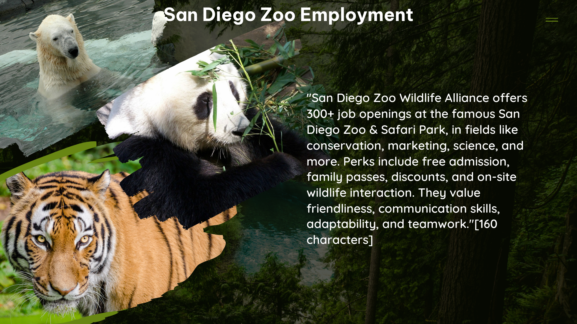 san diego zoo employment