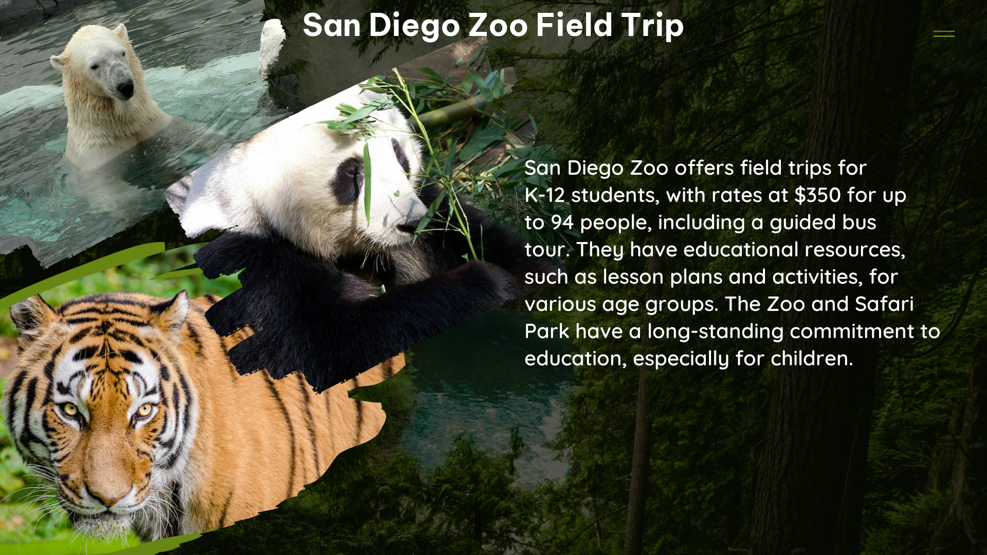 san diego zoo field trip