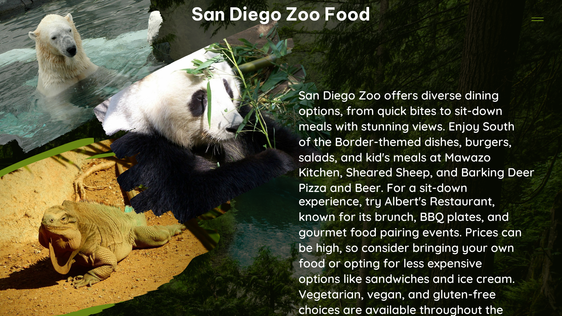 san diego zoo food