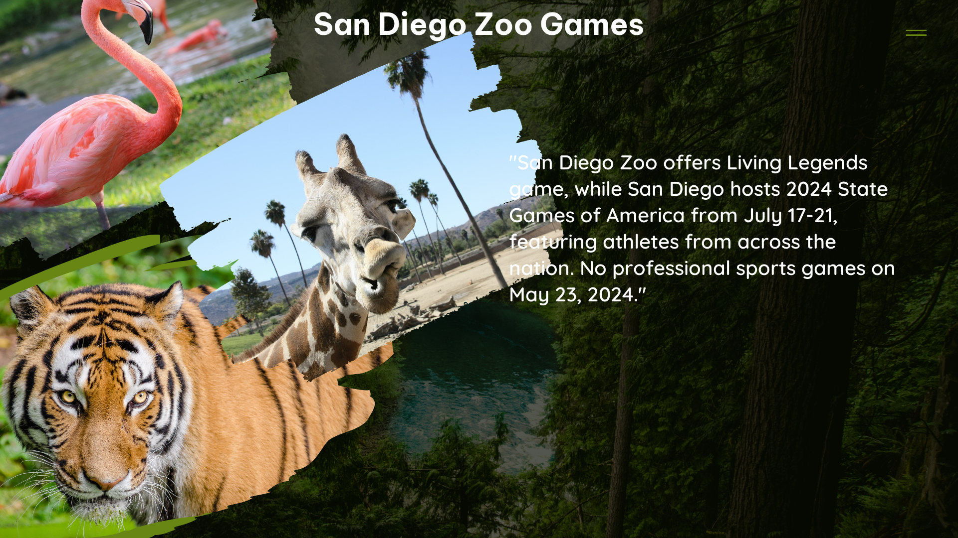 san diego zoo games