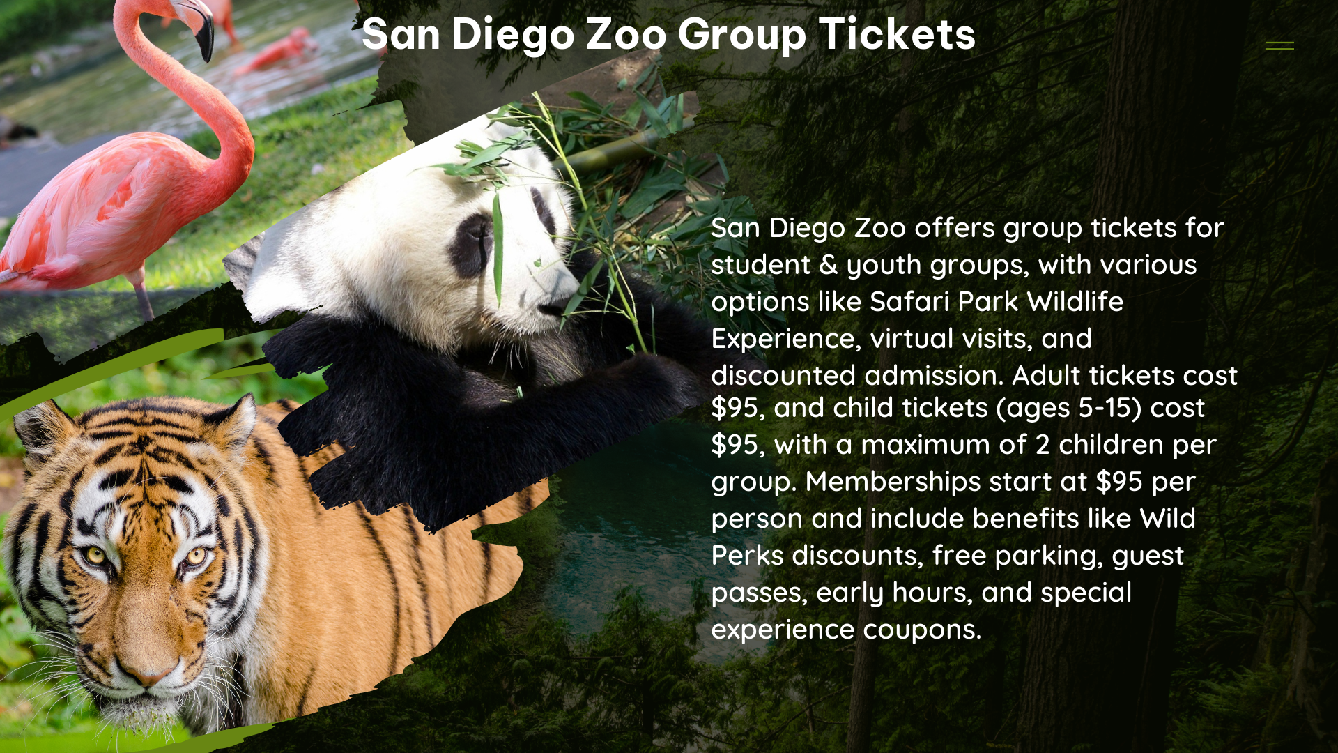 san diego zoo group tickets