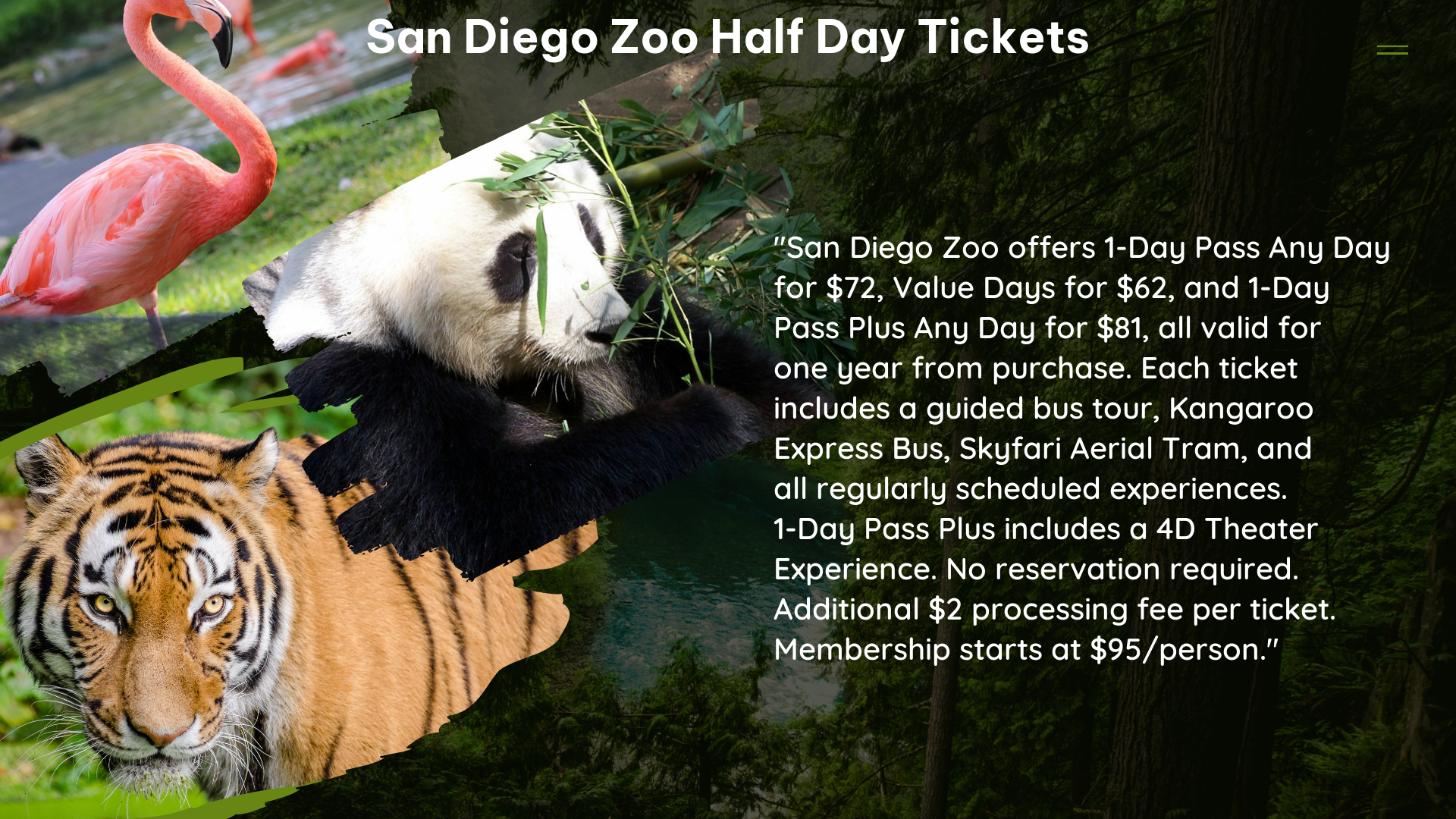 san diego zoo half day tickets