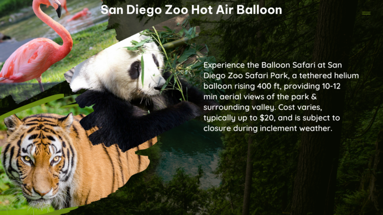 san diego zoo hot air balloon