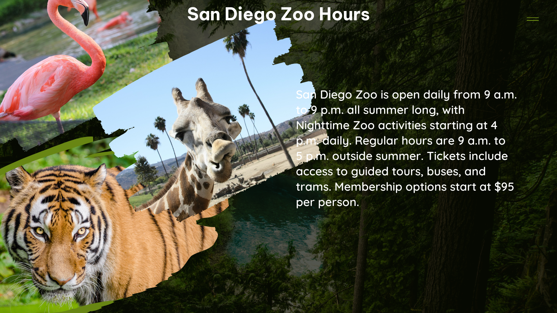 san diego zoo hours