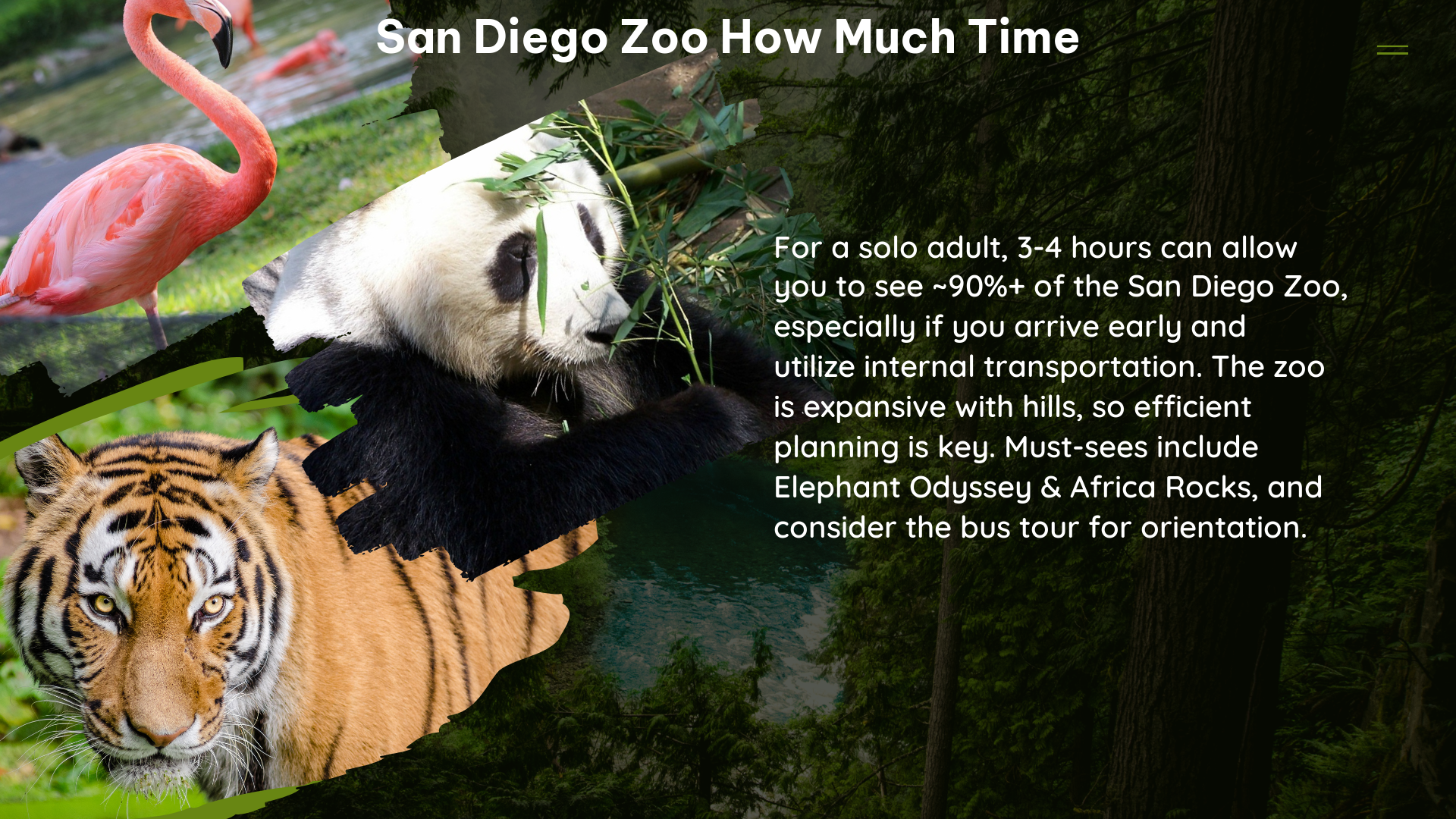 san diego zoo how much time