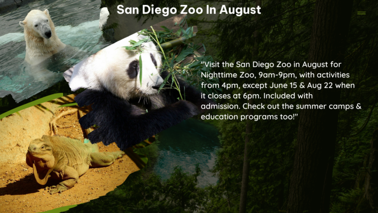 san diego zoo in August