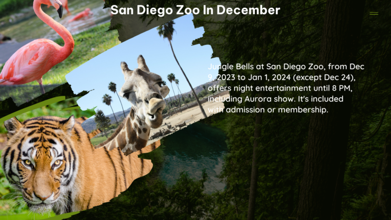 san diego zoo in December