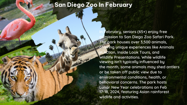san diego zoo in February