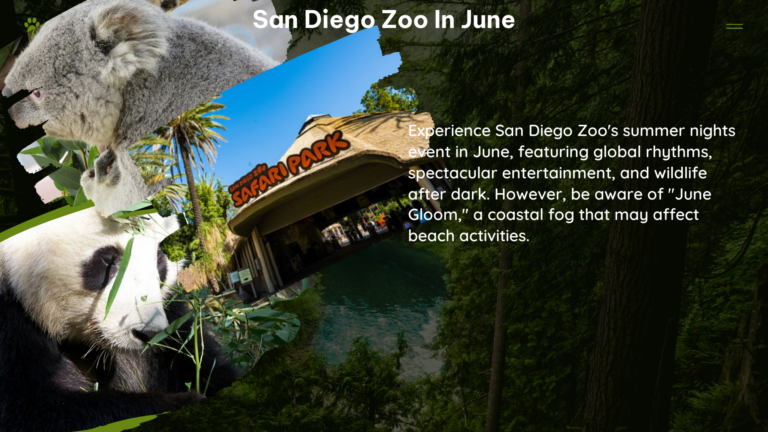 san diego zoo in June