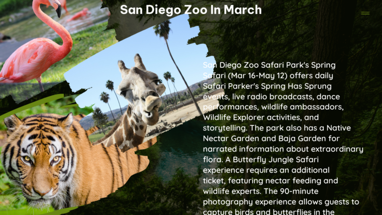 san diego zoo in March