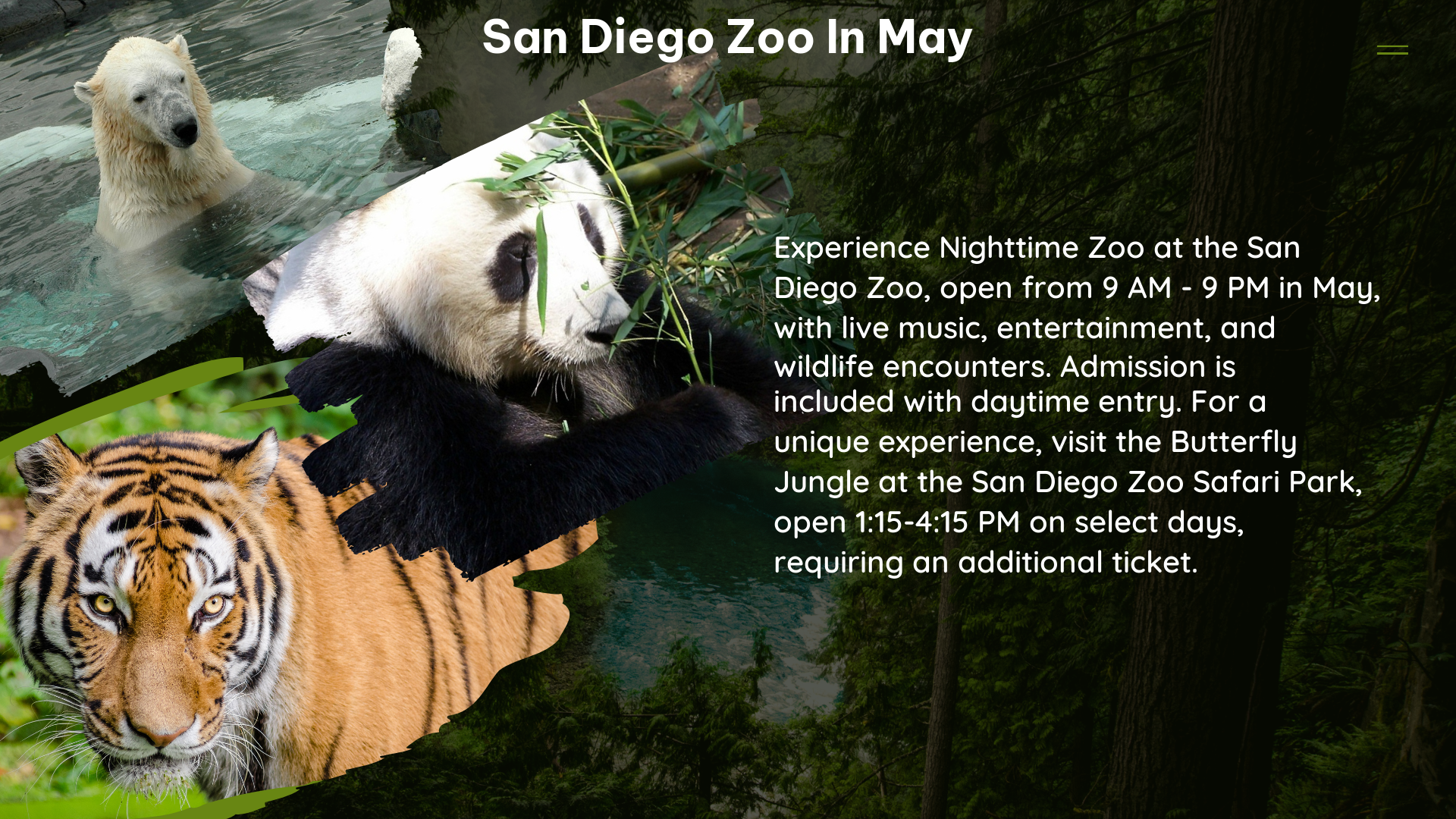 san diego zoo in May