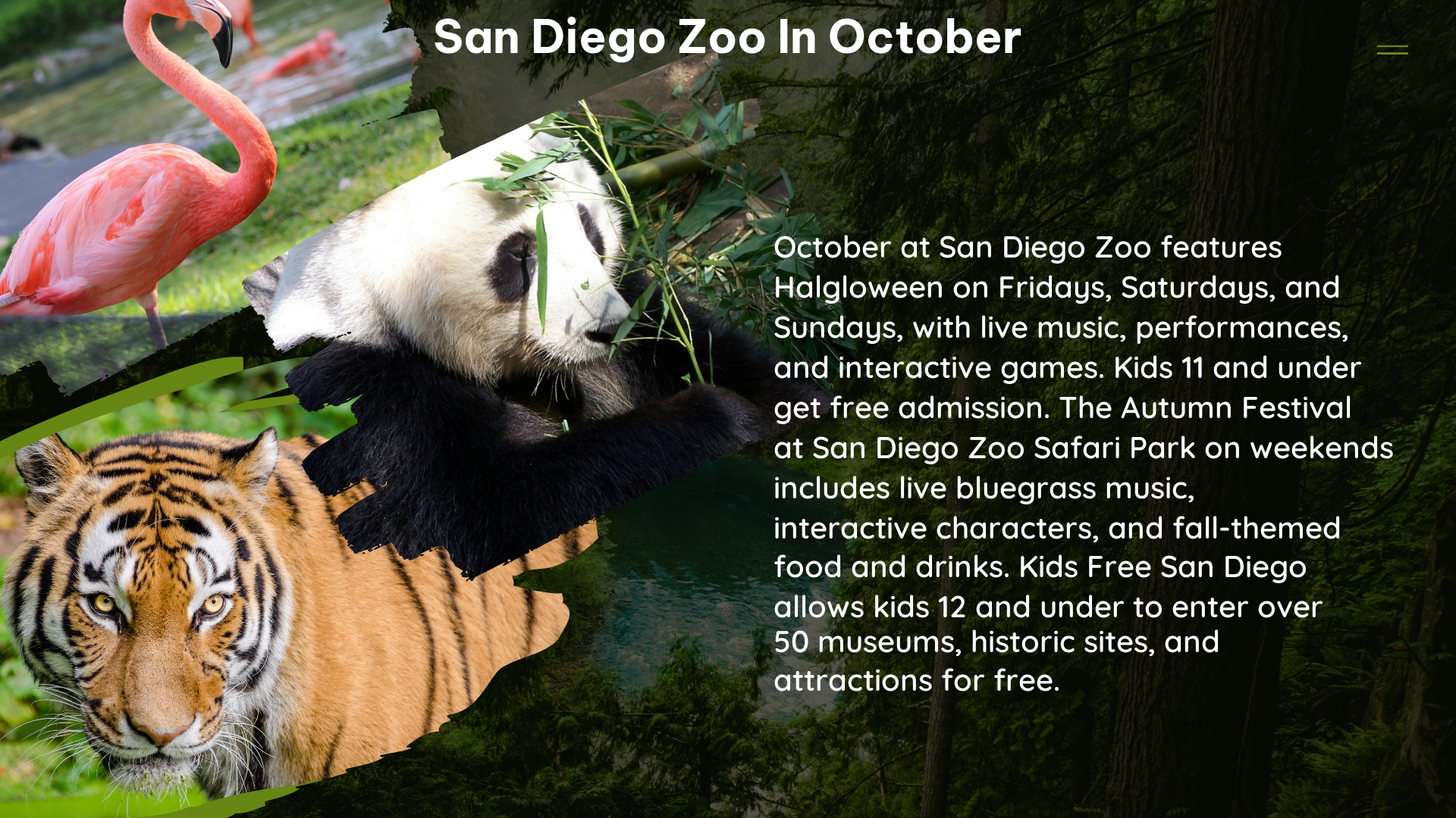 san diego zoo in October