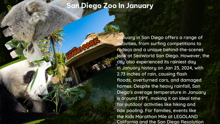 san diego zoo in january