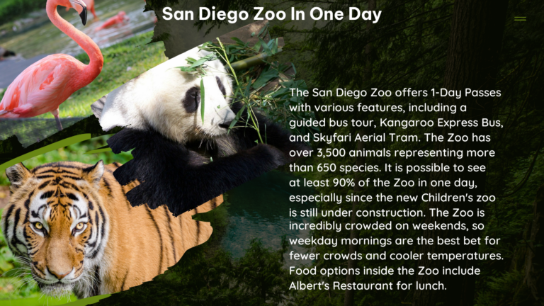 san diego zoo in one day